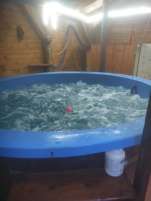 Cabana de închiriat Baișoara