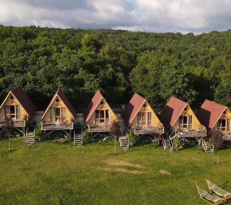 Vand case din lemn de gradina și de locuit
