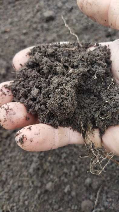 Pământ negru vegetal de livada!! Transport inclus !