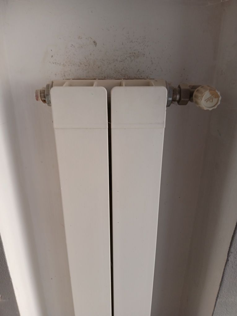 Radiatoare aluminiu