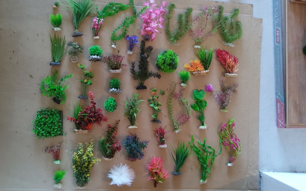 Plante pentru acvariu (200buc)