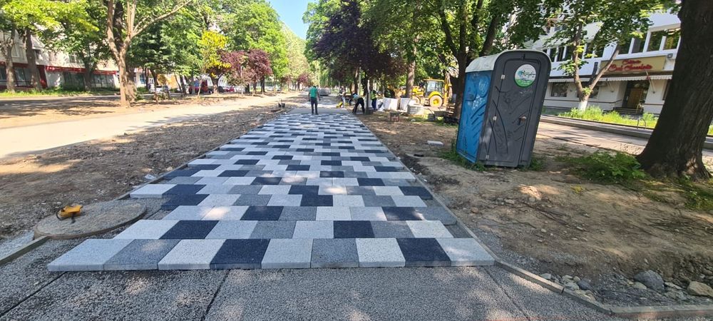 Pavele Borduri Pavatori