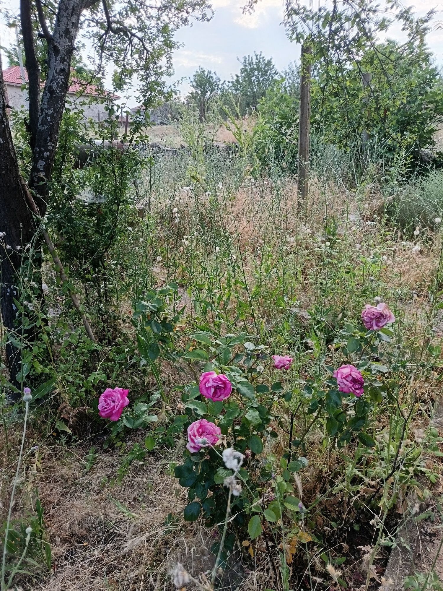 Едноетажна  къща в село до Свиленград