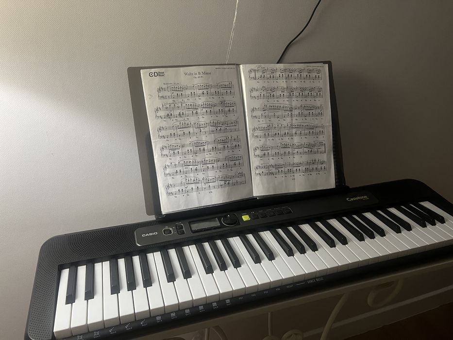 Синтезатор Casio