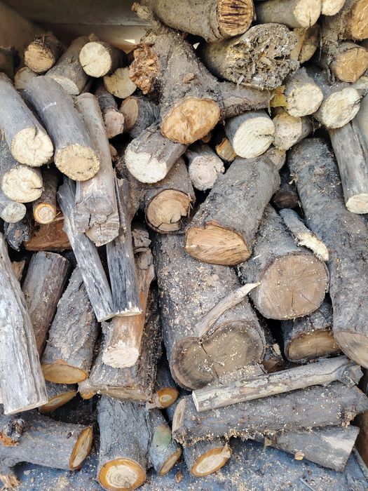 У'тин сотилади лабода