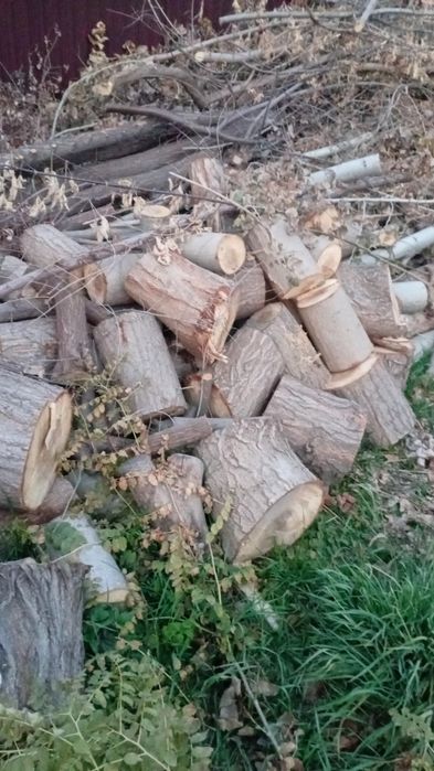 Продам дрова самовывоз