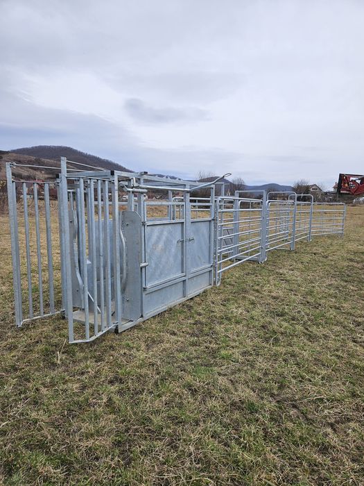 Porti contentie bovine tip koral