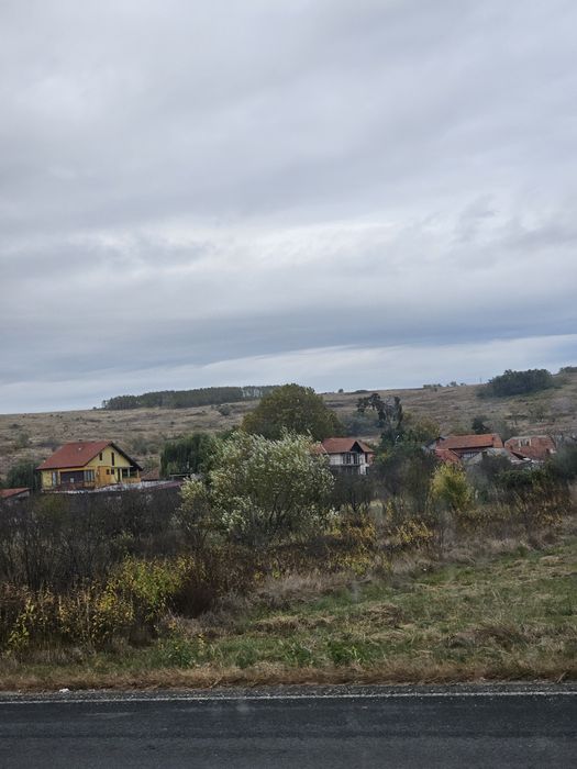 Vand 3Ha teren extravilan dealul viilor Lugoj Langa Pensiunea Lois