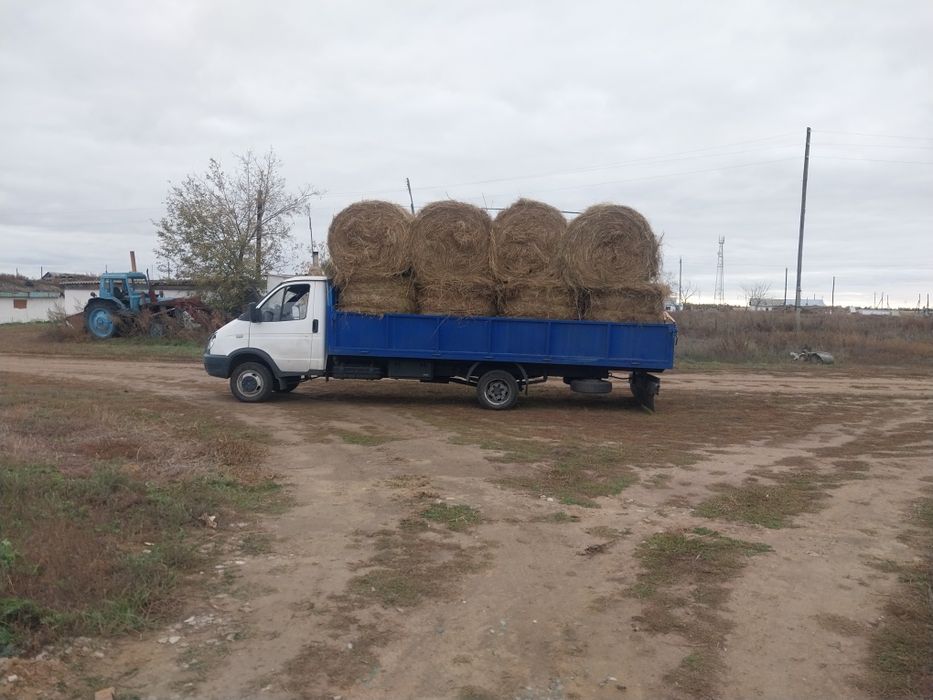 Продам сено в  рулонах с ДОСТАВКОЙ