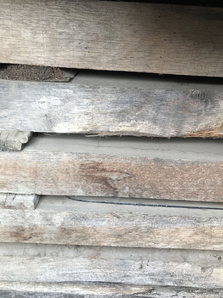 Stejar uscat natural