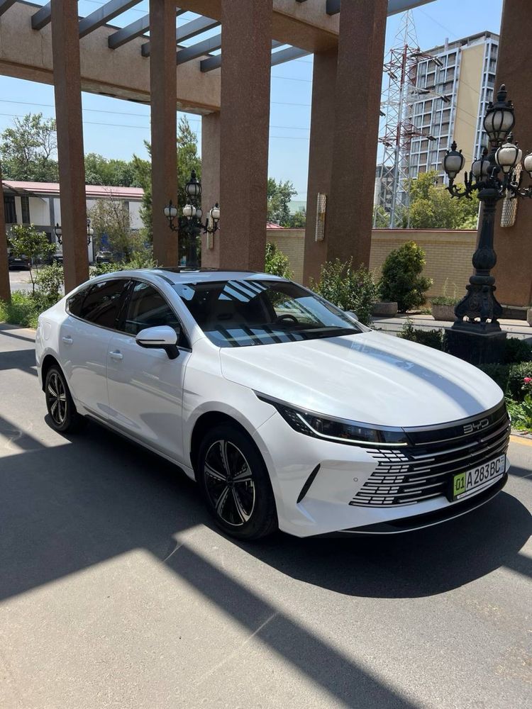 BYD chazor 120 tali