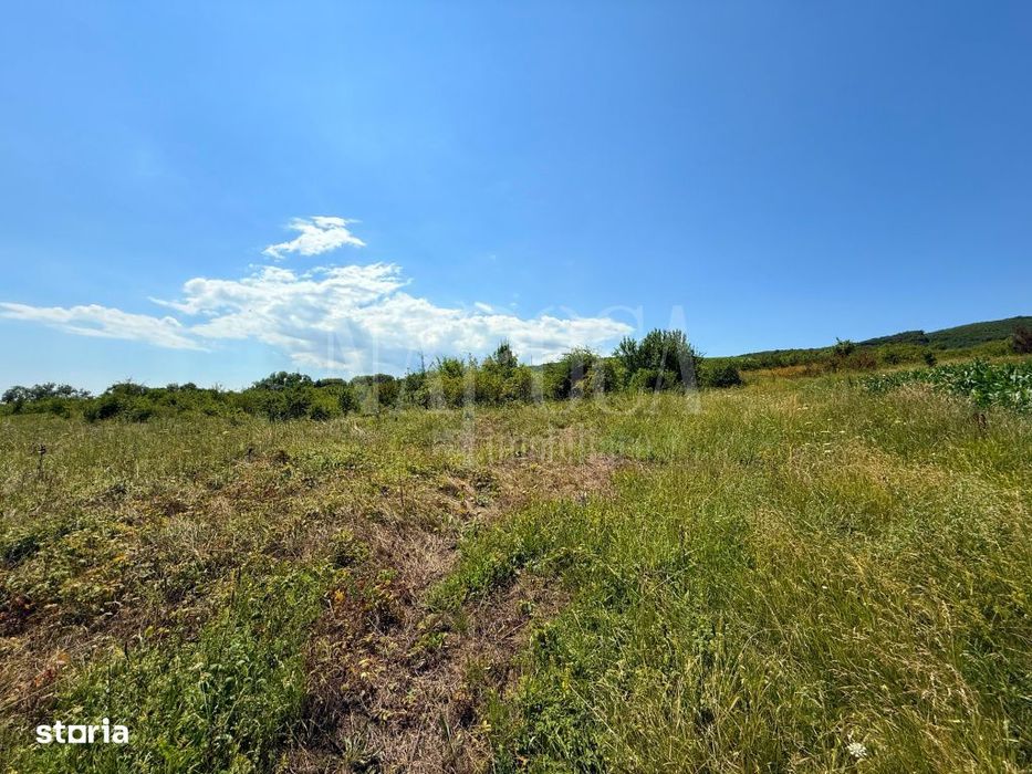 Teren intravilan pentru constructii de vanzare in Chinteni