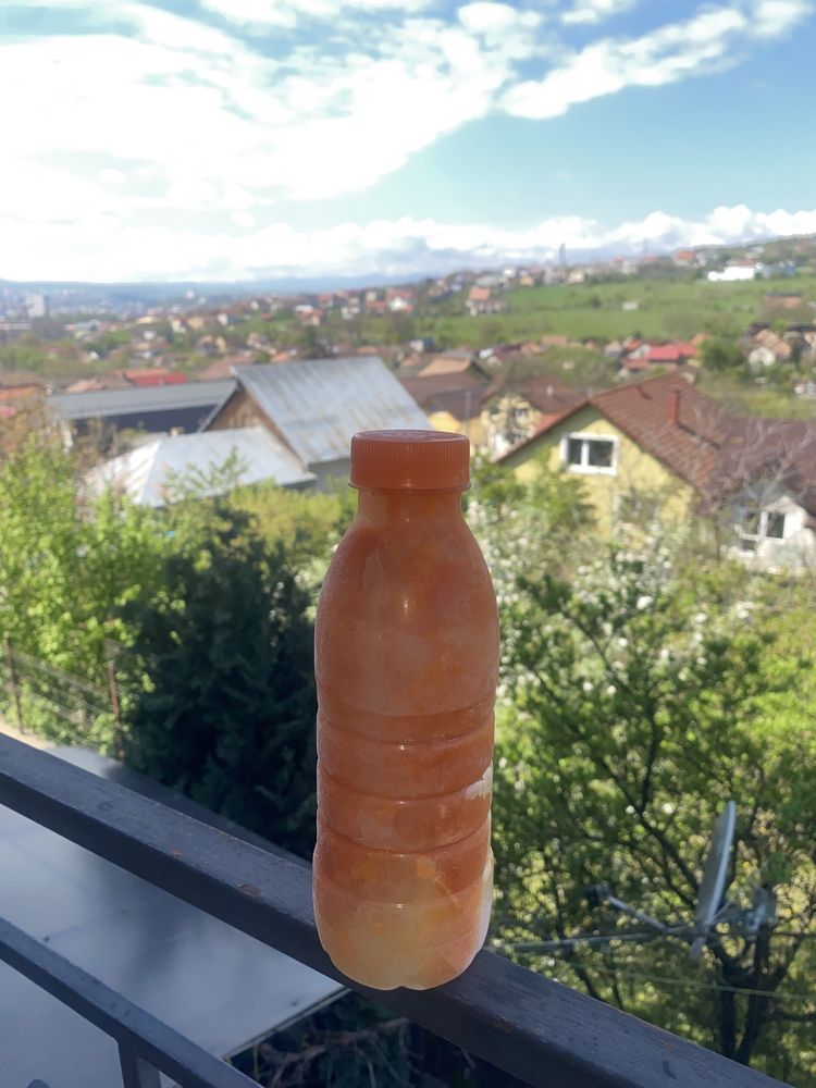 Sirop de cătină ecologică cu miere si propolis la 0,5L