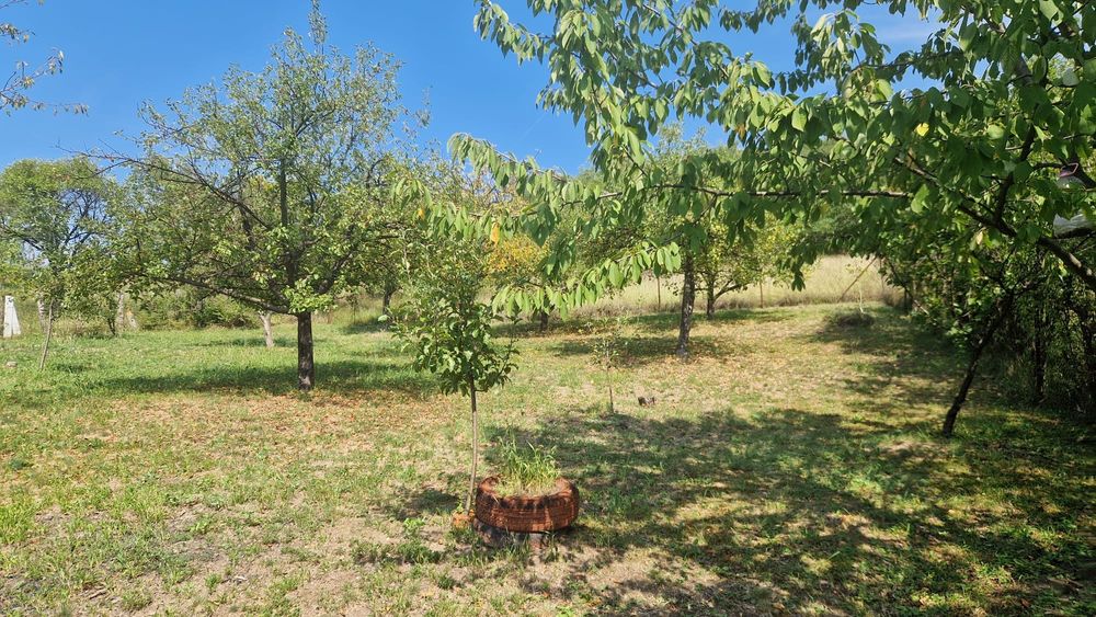 Vând teren intravilan