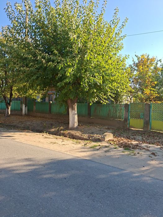 Proprietar vând casa com.Sadova sat Damian