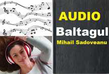 Baltagul de Mihail Sadoveanu Audio (MP3)