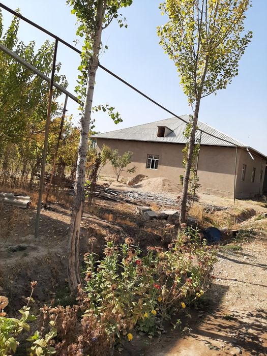 Terak sotiladi narxi kelishiladi