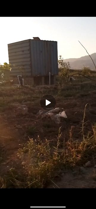 Sotiladi OLMA BOG UY Baxmal 1.5 gektar barter bor