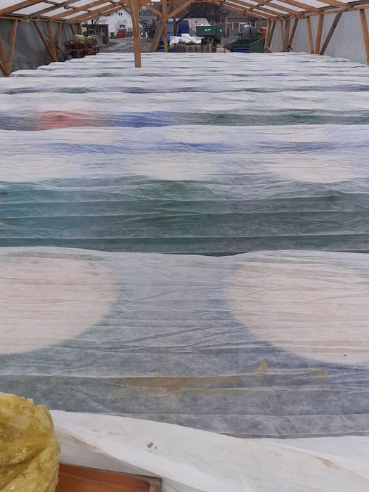 Varza murata de vanzare