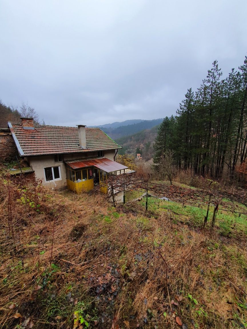 Къща с двор в с. Луково