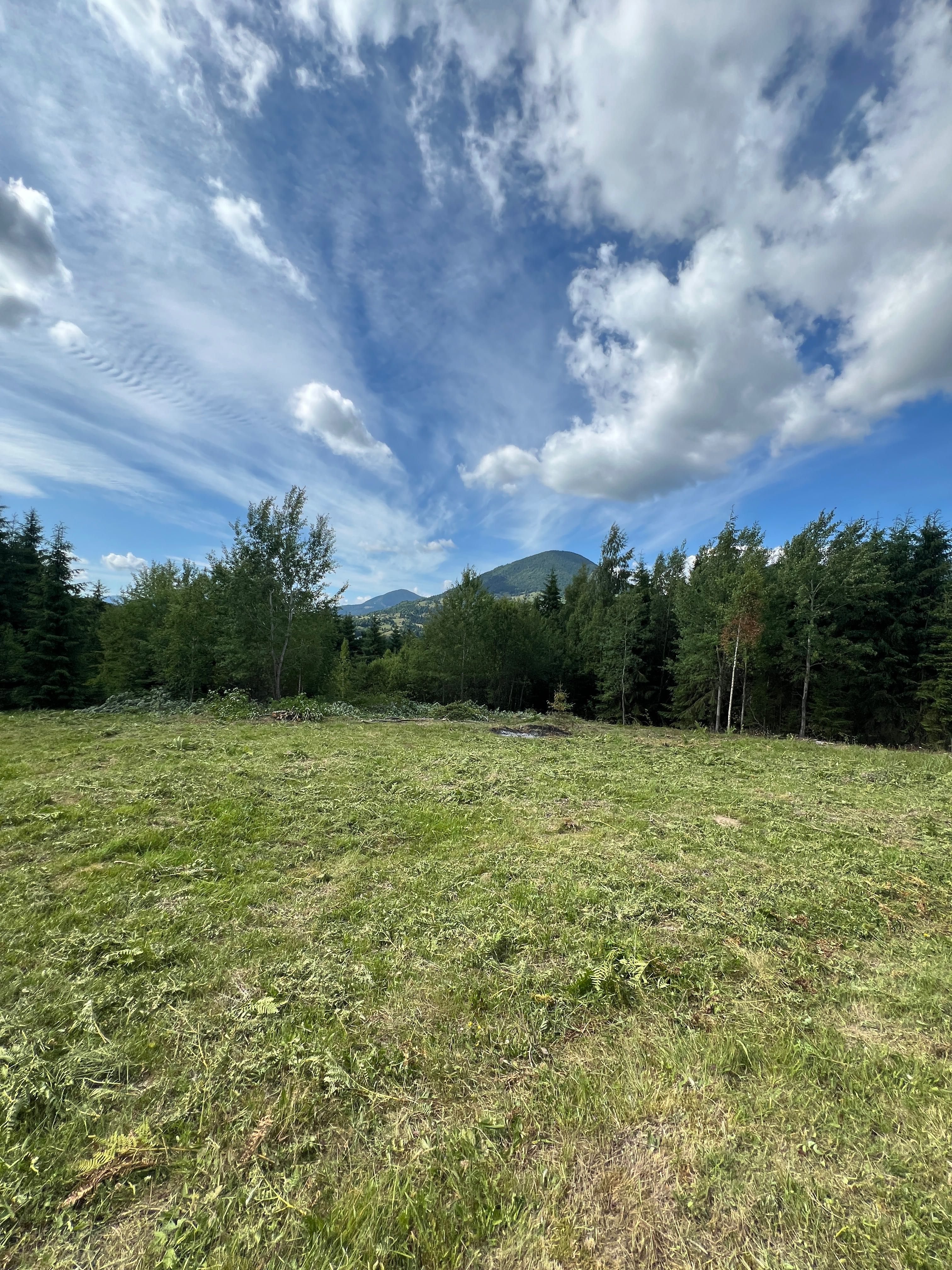 Teren intravilan Colibita