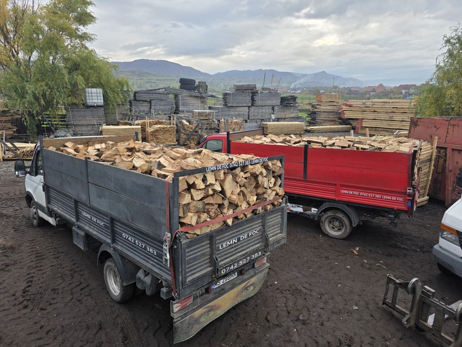Lemne lemn de foc esență tare uscat