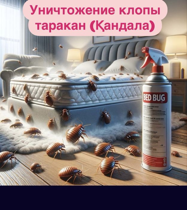 Дезинфекция уничтожение насекомых клопы таракан в городе Шымкент