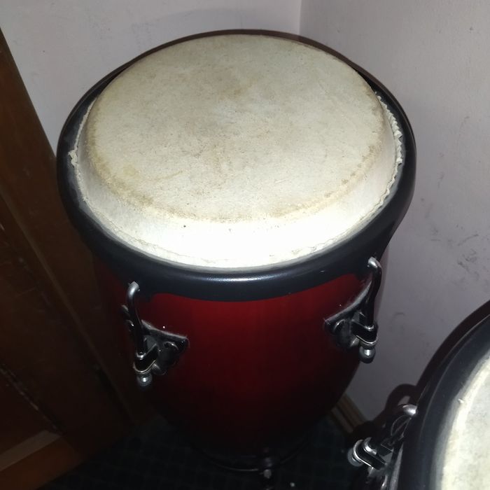 Професионални конги