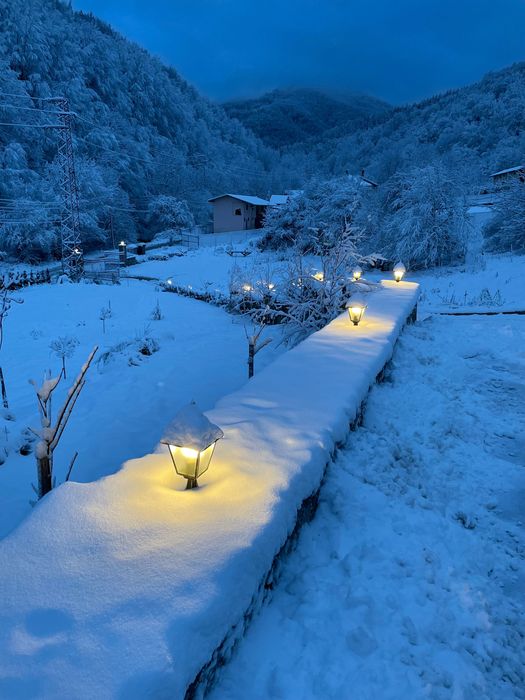 Къща за гости Робин Худ