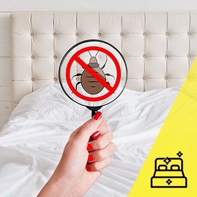 Igienizez/ Dezinfectez saltele pat