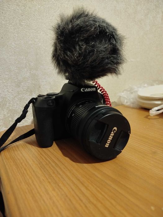 Canon 250d + RodeMicro