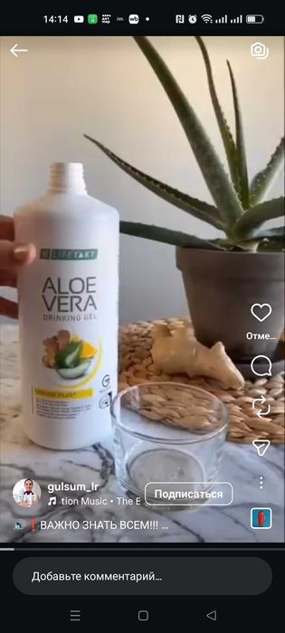 Лечебный гель алоэ вера. Натуральный элексир.