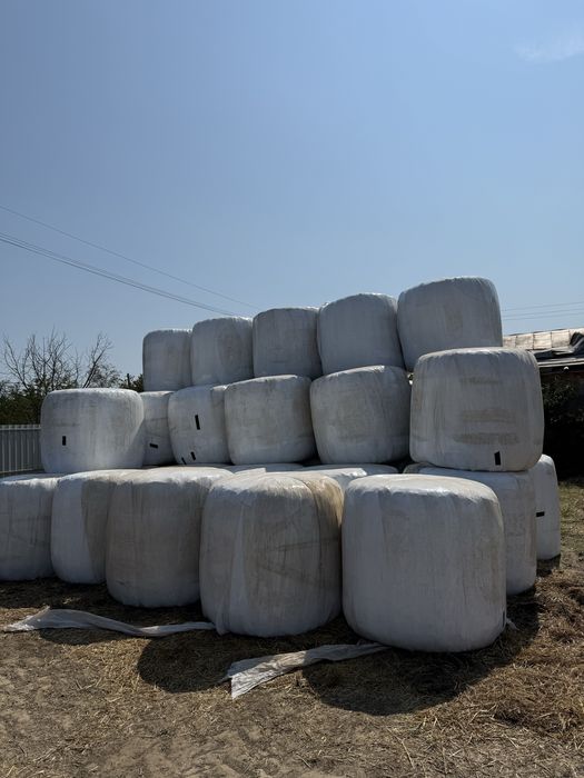 Baloti Infoliati de Siloz