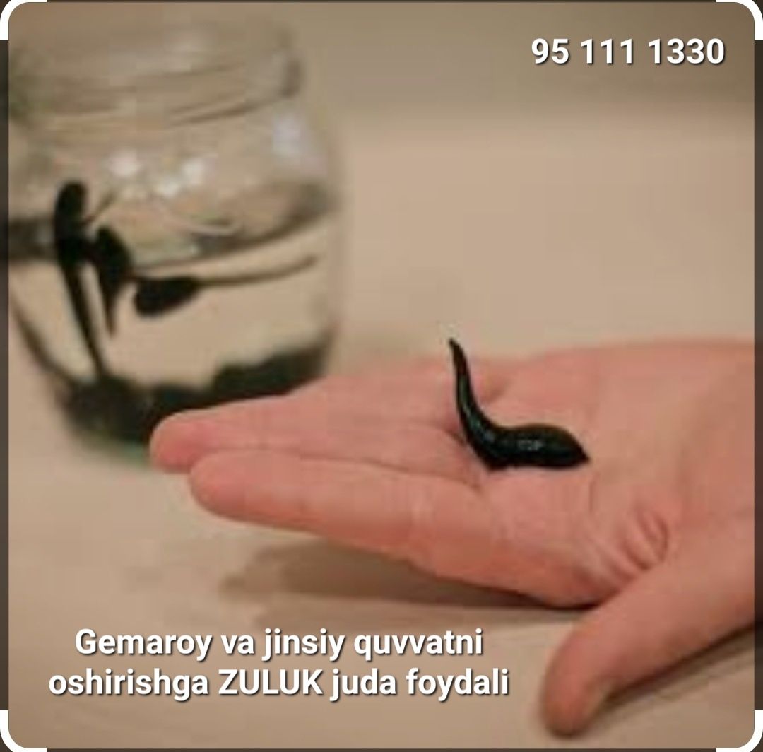 Zuluk, hijoma va LFK muolahasi