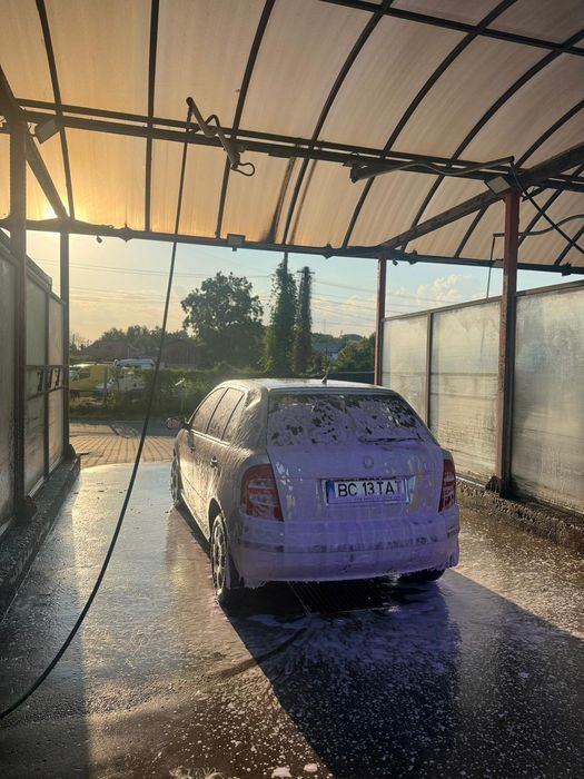 Vand skoda fabia 1