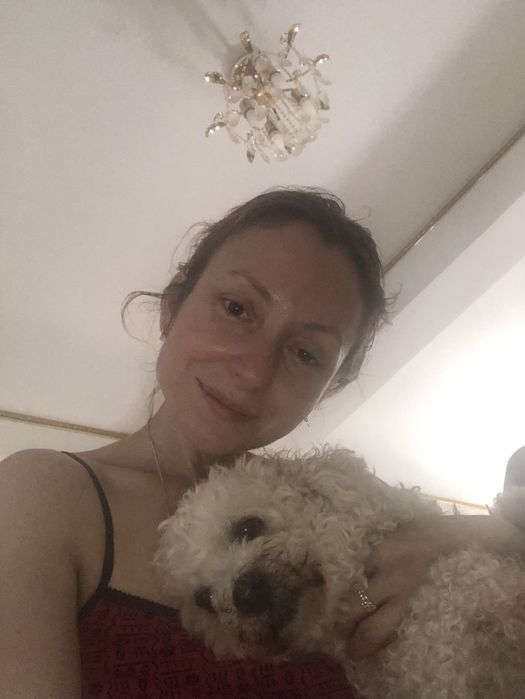 Cazare caini talie mica si medie