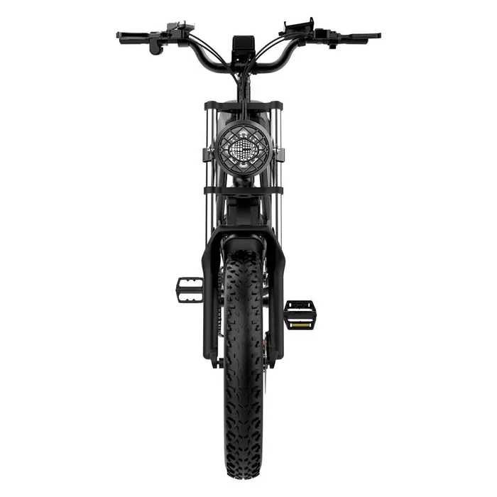 Електрически велосипед Ridstar Q20 , 1500W, 20.AH