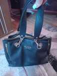 Poseta neagra guess