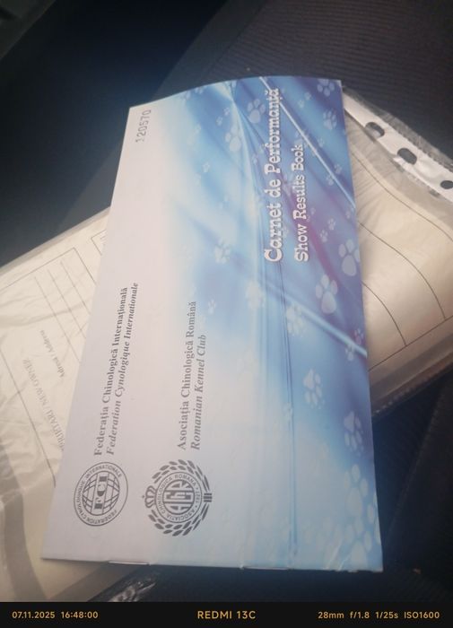 Dog argentinian  ,foarte iubitor ,masiv ai foarte bun de pază!