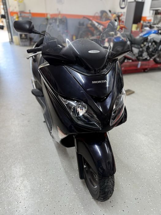 Honda Forza 250 import recent Italia