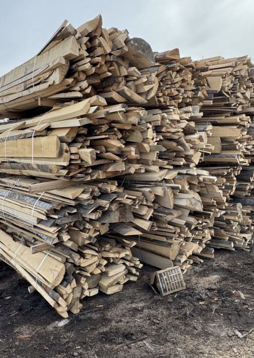 Laturoaie fag si brad