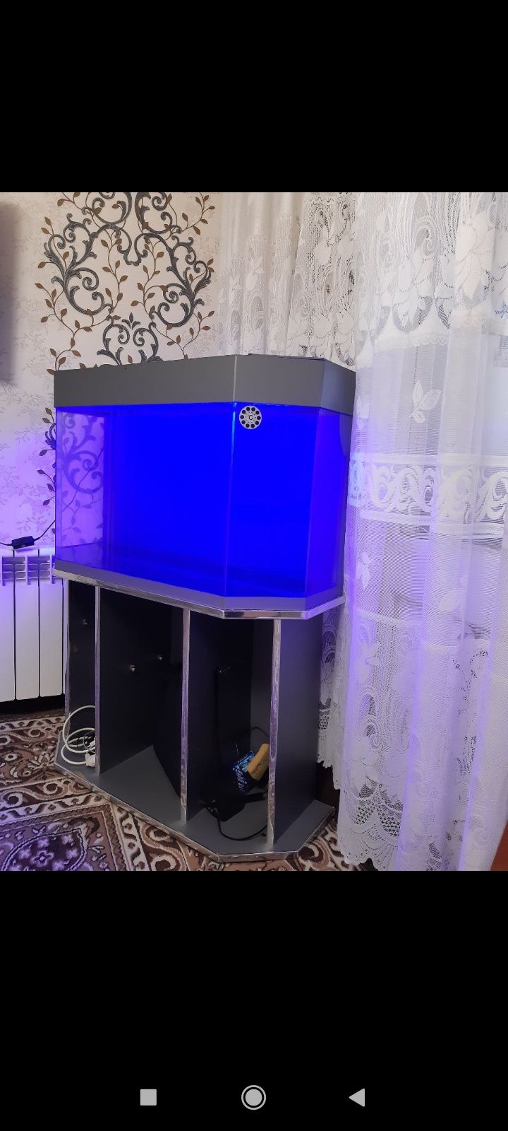Akvarium sotiladi !
