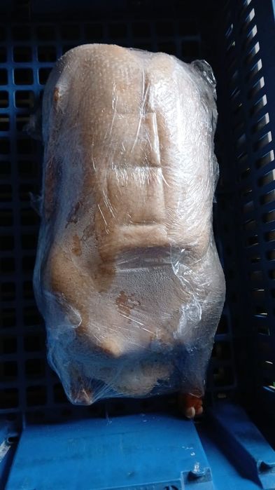 Гуси тушками мясо гуся новогодние гуси