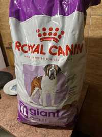 Royal canin giant