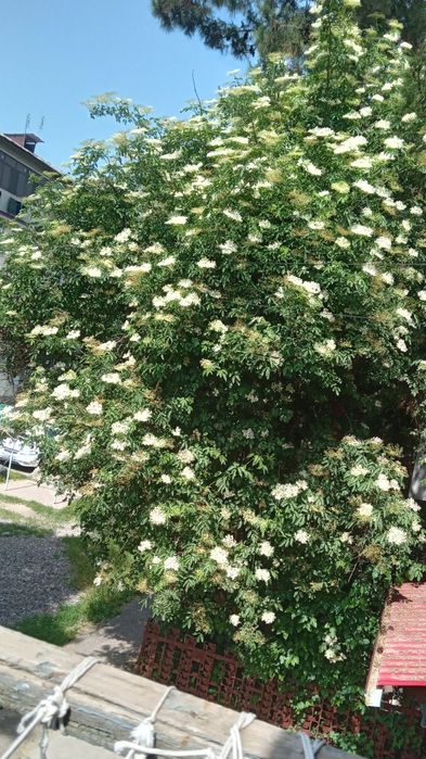 .  . Квартира  улица  фурката  10  возле военкомата дух этажки