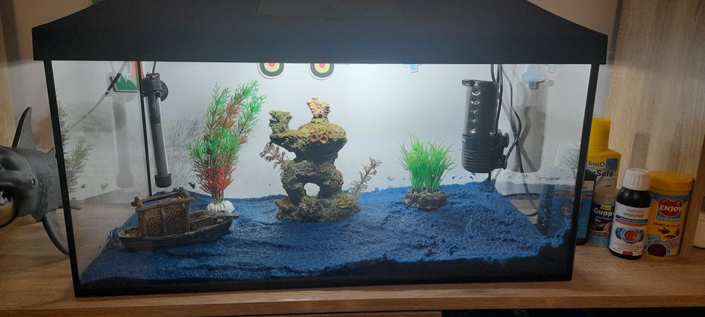 Acvariu cu accesorii pentru pesti