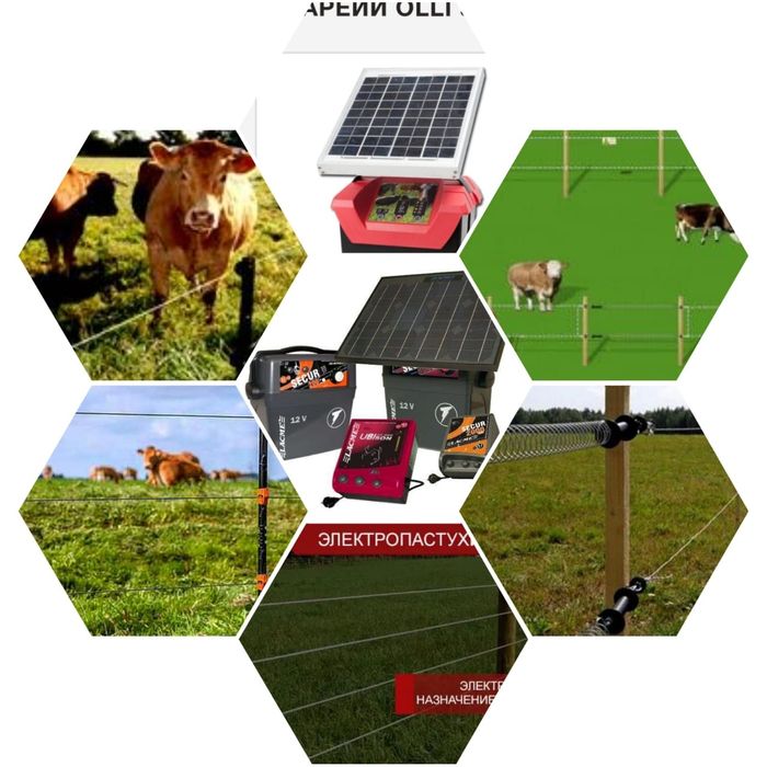 Электропастух солнечный