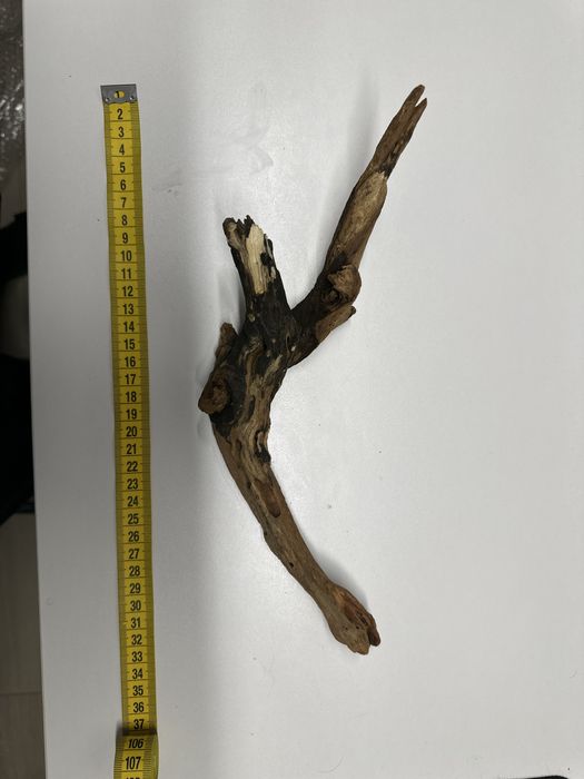 Lemne / radacini acvariu