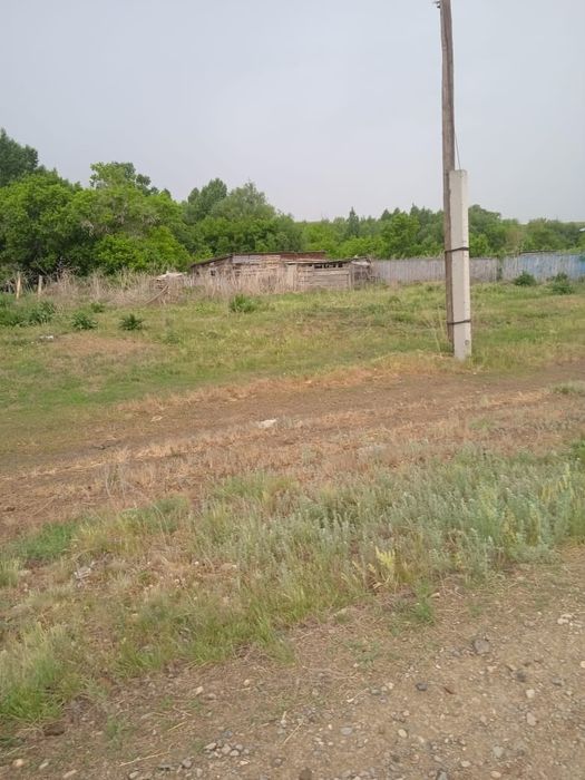 Срочно.  Обмен на Авто на КРС  Срочно можно обмен на КРС Продам дом  с