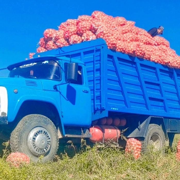 Zil 130 xolati yaxshi